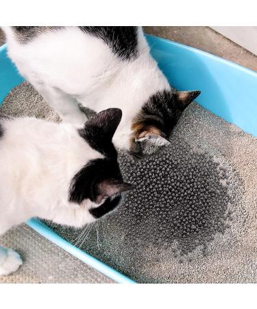 ULTECHNOVO Pet Supplies: Cat Litter Deodorizer Beads - 1 Bottle Cleaning Solution - Buy Online on GoSupps.com