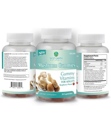 Best Earth Naturals Mushroom Gummy Vitamins Supplement for Energy & Clarity - Immune Support Gummies w/Lion's Mane Reishi Cordyceps & More - 30 Gummies (30-Day Supply) Mushroom Gummies - Buy Online on GoSupps.com