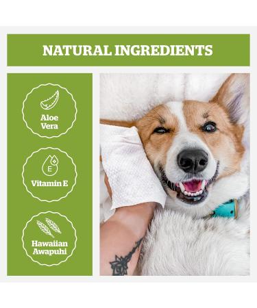 Pogis Care Cloths - 400 Biodegradable Dog Wiping Towels with Green Tea Fragrance | Extra Red - Eco-Friendly Pet Care - Buy Online on GoSupps.com