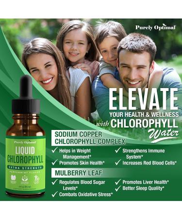 Premium Chlorophyll Liquid Drops - 100% Natural & Gluten Free Liquid Chlorophyll - Immune Support  Natural Deodorant  Body Detox  Energy Booster  Altitude Sickness Relief - Non GMO  Mint  118 servings - Buy Online on GoSupps.com