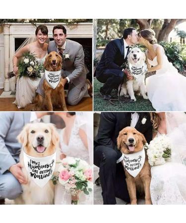 White My Humans are Getting Married Dog Wedding Engagement Bandana Wedding Photo Photos LMSHOWOWO Dog Bandana Wedding Engagement Announcement Gifts Pet Scarf Accessories for Dog Lovers Bridal Shower Black - Buy Online on GoSupps.com