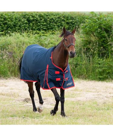 Gallop Trojan 600d Standard Neck 200g Turnout Rug 6'0" (EU 135cm) - Buy Online on GoSupps.com