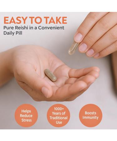 DAO Labs Pure Reishi - Lingzhi Element - 60 Herbal Capsules for Immunity Sleep Energy Longevity & Digestive Wellness - Immunity Supplement - Buy Online on GoSupps.com
