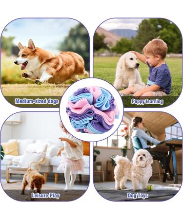 Buy Sniffball for Dogs - Interactive Sniffing Carpet Toys for Stress Relief & Intelligence Training | Washable Pet Feed Mat - 20cm Colorful for Small to Medium Dogs - Buy Online on GoSupps.com
