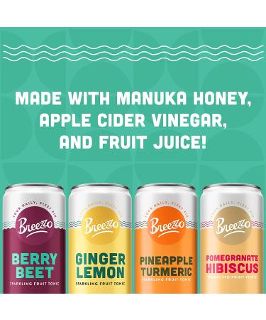 Breezzo Pineapple Turmeric Sparkling Fruit Tonic 12 Fl Oz (12 Pack) - Immunity Booster & Vitamin C Source - Functional Soda Alternative - Pineapple Turmeric Flavor - 12 Count - Buy Online on GoSupps.com