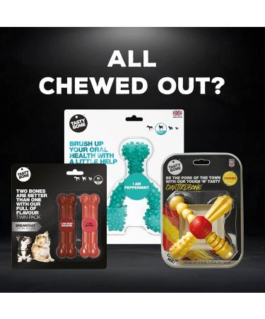 Rosewood TastyBone Extra Robust Knotted Nylon Dog Toy - Lamb Flavour Lamb Chop | International Shipping Available - Buy Online on GoSupps.com