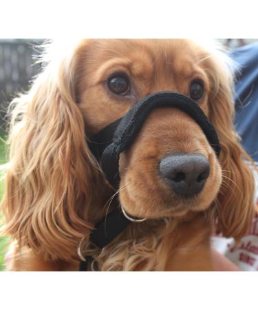 Champion Anti-Pull Training Halter for Dogs - Padded Black No More Pulling | International Shipping - Buy Online on GoSupps.com