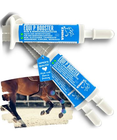 MSM horse willow bark horse - Equi P Booster - Vitamin paste plus glucosamine chondroitin high -dose horse - vitamin C beer yeast - movement apparatus tenden tendons cartilage seniors 3st