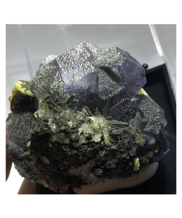 Natural Crystal Rough 203.3gNatural Mirage Purple Fluorite and Green Crystal Pyrite Specimen Wheel Vein Teaching Stone Home