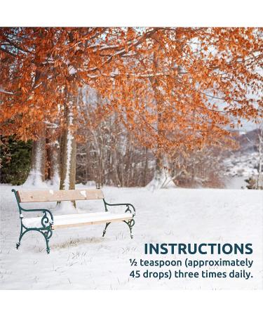 Source Naturals Herbal Resistance - Echinacea, Yin Chiao, Elderberry Extract - 2 Fl Oz - Buy Online on GoSupps.com