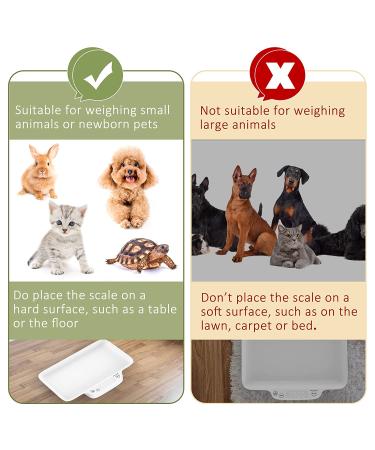 MomMed Digital Pet Scale - Portable Precision Scale for Dogs, Cats, Puppies, Kittens, Hamsters, Birds, Rabbits - Hold and Tare Function - Ideal for Newborn Pets - Buy Online on GoSupps.com