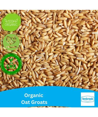 Certified Organic Oat Groats 500g by Fenbrook Organic - Pure and Natural - Buy Online on GoSupps.com