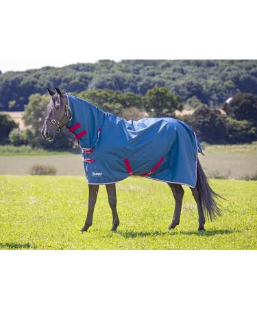 Shires Tempest Original Lite Turnout Combo Rug - Teal 6ft0 - Buy Online on GoSupps.com