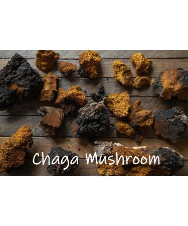 Earth Cap Mushrooms Sunrise 6 Mushroom Supplement Capsule - Chaga Cordyceps Lion's Mane Maitake Reishi Turkey Tail Real Fruiting Body - No Fillers - Buy Online on GoSupps.com