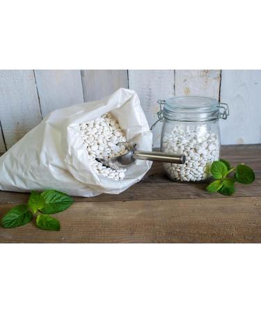 Denttabs Bulk Bag 3.15kg Mint - Fluoride Toothpaste Tablets for Fresh Breath | Eco-Friendly & International Shipping - Buy Online on GoSupps.com