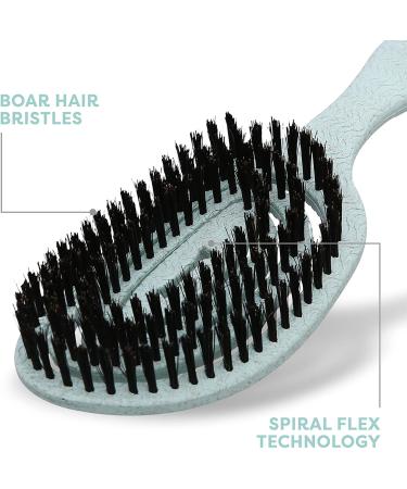 BioSilk Eco-Friendly Dog Grooming Brush - Ergonomic Mint Green Brush for Easy Grooming & Detangling - Buy Online on GoSupps.com