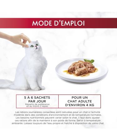 GOURMET MY LITTLE Poultry 6x50g - Buy Online on GoSupps.com