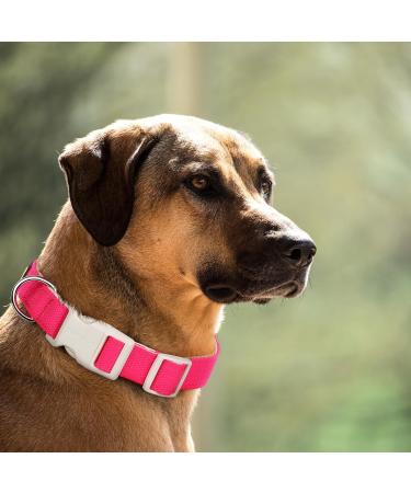 Plutus Pet Cotton Dog Collar Heavy Duty Collar with Soft Padding Adjustable and Comfortable for Small Medium and Large Dogs Hot Pink S Small Hot Pink - Buy Online on GoSupps.com