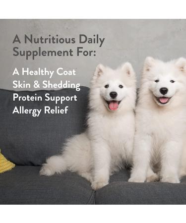 Green Gruff Organic Dog Calming Chews - Veterinarian Approved Skin & Coat Supplements (24 Pack) - Buy Online on GoSupps.com