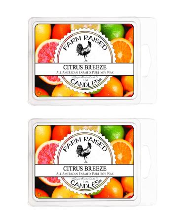 Citrus Breeze - Scented Wax Warmer Melt Cubes - 2 Pack Combo - 100% All American Made - by Farm Raised Candles - Natural American Farmed Soy Wax