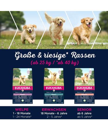 Eukanuba Dog Food with Lamb & Rice for Large Breeds - 12 kg Dry Food for Adult Dogs | Premium Nutrition - Buy Online on GoSupps.com