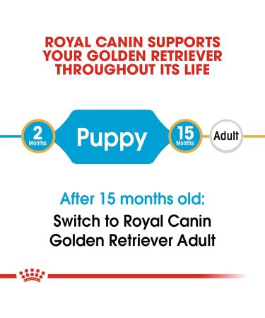 Royal Canin Golden Retriever Puppy Dry Mix 12 kg - Buy Online on GoSupps.com