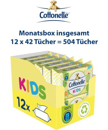 Cottonelle Kids Moist Toilet Paper - Fruity Fresh Biodegradable & Plastic-Free Advantage Pack 12x42 Wipes | Shop Internationally - Buy Online on GoSupps.com
