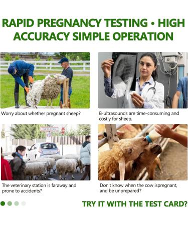 Sheep/Goat Pregnancy Rapid Detection Test 2 Pack | Fast & Accurate Results for Farmers - Buy Online on GoSupps.com