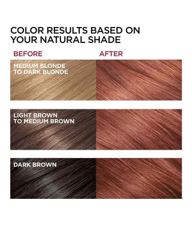 L'Oreal Paris Superior Preference 6R Light Auburn Hair Color 2-Pack - Fade-Defying & Shine Permanent Hair Dye - Buy Online on GoSupps.com