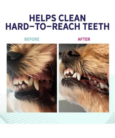 Health Extension Fresh Breath Dental Bones for Dogs - 14 Small Bones for Dental Health & Puppy Training  - Buy Online on GoSupps.com