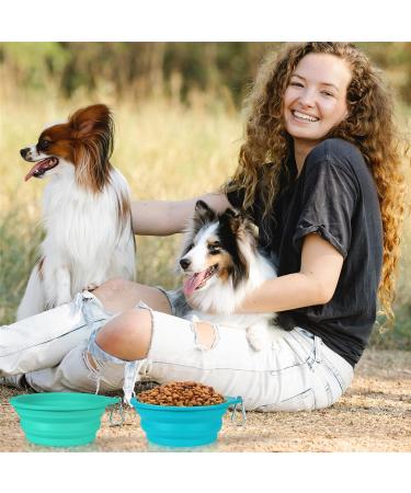 Slson Portable Silicone Dog Travel Bowl - 2-Pack Foldable 600ml for Hiking & Camping (Light Blue & Green) - Eco-Friendly & Durable - Buy Online on GoSupps.com