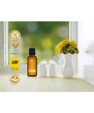 Vegetarian Liquid Vitamin D3 5000 IU - High Absorption Formula - 6 Month Supply - Gluten-Free - 365 VIT D - Buy Online on GoSupps.com