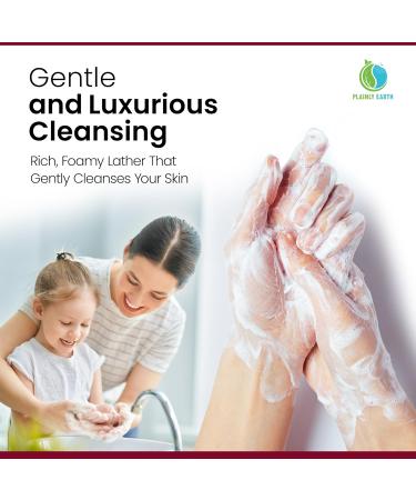 AntiMicrobial Hand Soap - Antibacterial Hand Soap Moisturizing - Liquid Hand Soap Refill Antibacterial - Moisturizing Hand Soap Antibacterial - Gentle Foaming Hand Soap - Black Cherry Merlot 64 oz - Buy Online on GoSupps.com