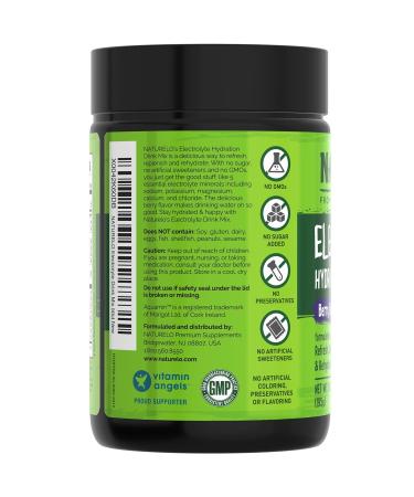 NATURELO Electrolyte Powder Hydration and Mineral Drink Mix Sugar Free & Non-GMO Berry Flavor 50 Servings - Buy Online on GoSupps.com