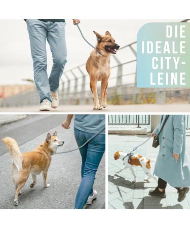 High-Quality 1.7m No Tangle Dog Training Leash - Aqua Braided Rope with Hand Loop - Buy Online on GoSupps.com