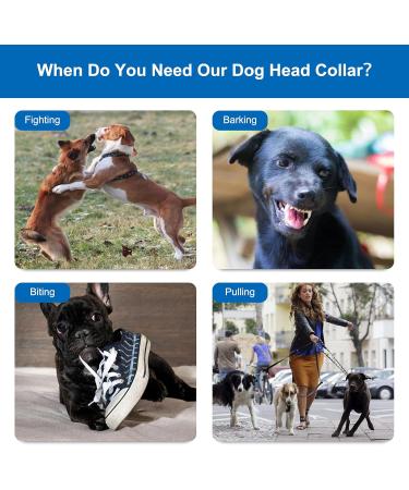 Adjustable Dog Halter with Padded Comfort & 120cm Nylon Rope for Training - Small to Large Dogs (Black) - Buy Online on GoSupps.com