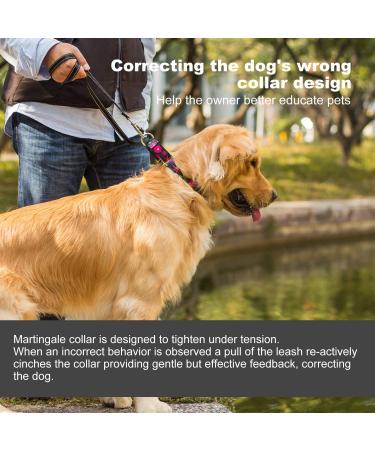 Dazzber Martingale Dog Collar for Medium Dogs - Floral No-Pull Design Adjustable 35.6-53.3 cm Durable 1 Inch Wide Sunflower (Black) - Buy Online on GoSupps.com