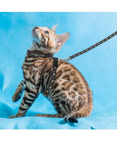 Cat Harness with Leash 3-Pack - Stars Moon Paw Heart Design - Escape Proof - for Walking Small Medium Large Cats - Black Red Blue - Adjustable & Safe - Set of 3 - Buy Online on GoSupps.com