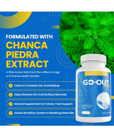 Mt. Angel Vitamins Go-Out Now - Chanca Piedra Stone Breaker Natural Kidney Cleanse & Gallbladder Formula - Stone Free 60 Count Veggie Cap - Buy Online on GoSupps.com