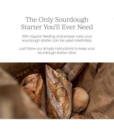 Breadtopia Sourdough Starter (Dry) - Organic & Non-GMO | Easy Instructions | Homemade Sourdough Bread - Buy Online on GoSupps.com