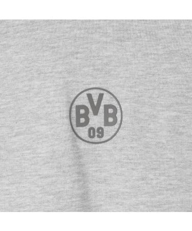 Shop Borussia Dortmund BVB Hoodie Essentials | Grey Basic Pullover S-3XL - International Shipping Available - Buy Online on GoSupps.com