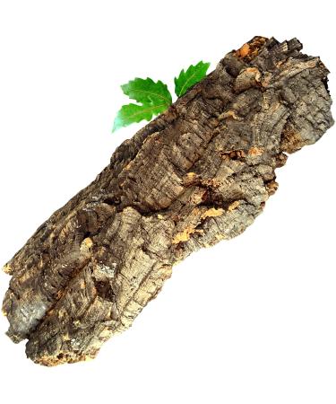 XL Cork Bark 20 x 50 cm - Flat Piece (Rodent Reptile Decoration Modelling Model Railway Scenery) Cork Wood Tree Oak | Cleaned & sanitised - Buy Online on GoSupps.com