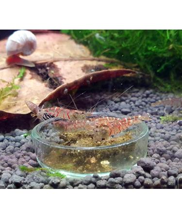 GARNELEN4YOU Premium Food Pellets - 50 g - For relaxed feeding of aquarium inhabitants such as shrimps crabs and snails (1 x 50 g) - Buy Online on GoSupps.com