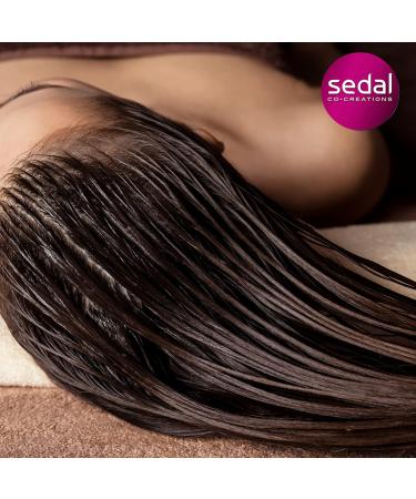 Sedal Co-Creations Conditioner Ceramides 2-Pack - Repairs & Strengthens All Hair Types - 22 FL Oz x 2 - Buy Online on GoSupps.com