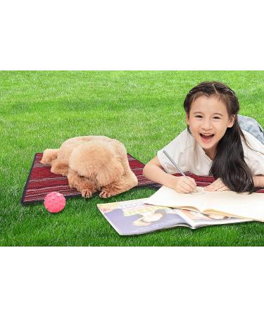 NC Outdoor Sitting Mat - Waterproof Foldable Lightweight Camping Seat Cushion - Buy Online on GoSupps.com