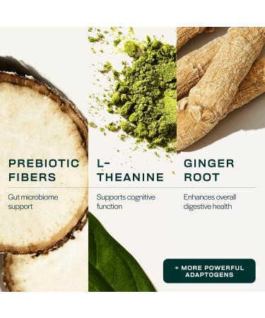 Gainful Daily Performance Greens Powder Gut Health Energy Focus and Immune Support with L Theanine Organic Greens Chlorella Ginger Green + Adaptogen Drink Mix (10 Pack Tropical Pineapple) - Buy Online on GoSupps.com