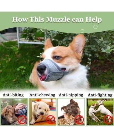 Breathable Dog Muzzle for XXS to XXL - Adjustable for Chihuahua Beagle & Golden Retriever - Prevent Biting & Chewing - Buy Online on GoSupps.com