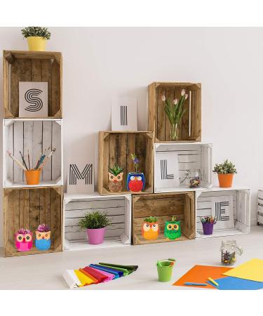 DIY Ceramic Owl Succulent Pots Paint Craft Kit - Set of 6 | Unpainted Bisque Ceramic Flowerpots for Kids Classroom Activities - Buy Online on GoSupps.com