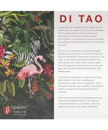 Palm Nature 7 Mushroom Complex - High Strength Extracts - 30% Beta-Glucans - 90 Capsules - 1500mg Per Serving - Buy Online on GoSupps.com