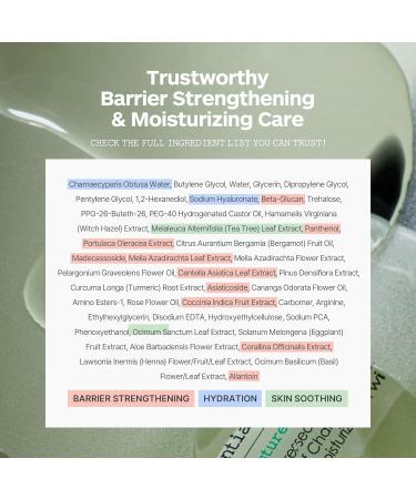LISSEDERM Beta Calming-Cure Essential Toner 70% Hinoki Cypress Water Hydrating & Soothing Toner for Sensitive Skin Lightweight Watery Texture Clean Ingredients Korean Skin Care 200ml/6.76fl.oz. - Buy Online on GoSupps.com